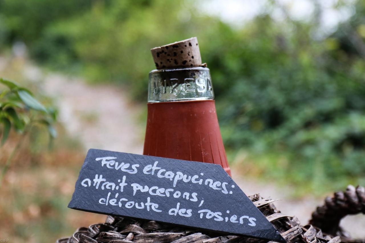 Domaine Des Tilleuls D'Or Saint-Cézaire-sur-Siagne Dış mekan fotoğraf