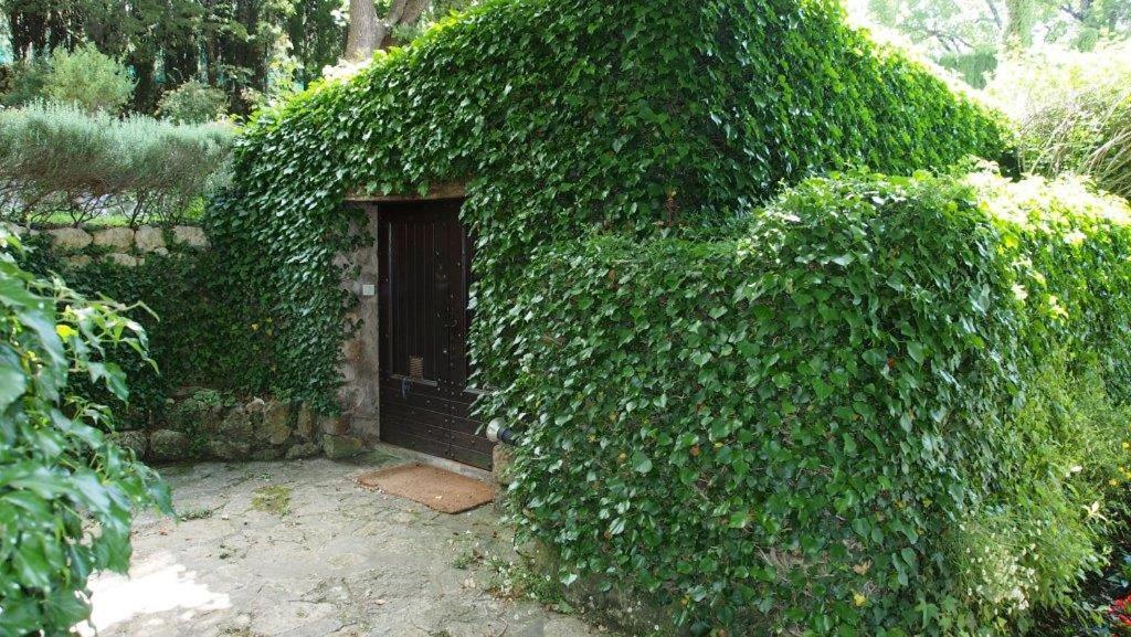 Domaine Des Tilleuls D'Or Saint-Cézaire-sur-Siagne Dış mekan fotoğraf